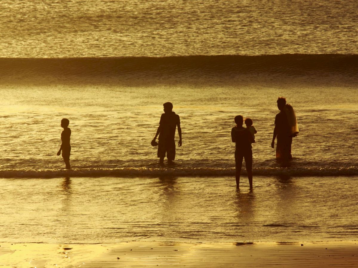 Five silhouetted figures enjoying the ocean at sunset, standing in shallow water and creating a serene scene against the golden sky.