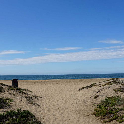 The image shows a sandy path leading to a beach with blue skies and calm ocean waves, surrounded by some low vegetation and a trash can.