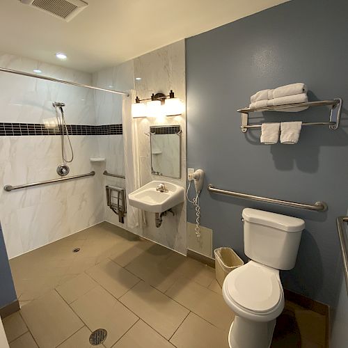 The image shows an accessible bathroom with a shower, toilet, sink, handrails, towel rack, and a hairdryer on the wall.