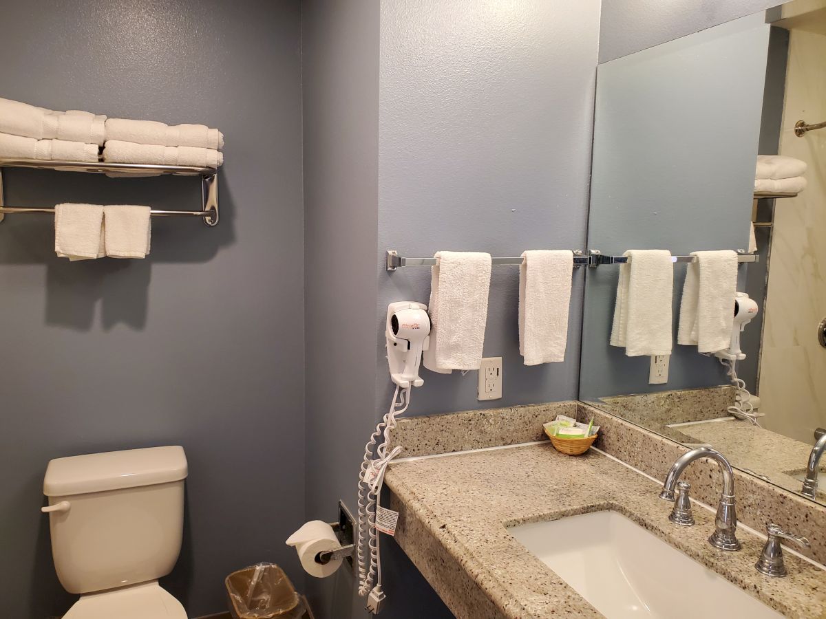 A bathroom with a toilet, sink with dual faucets, hairdryer, mirror, towels on racks, and a trash can in the corner, all in a clean setup.