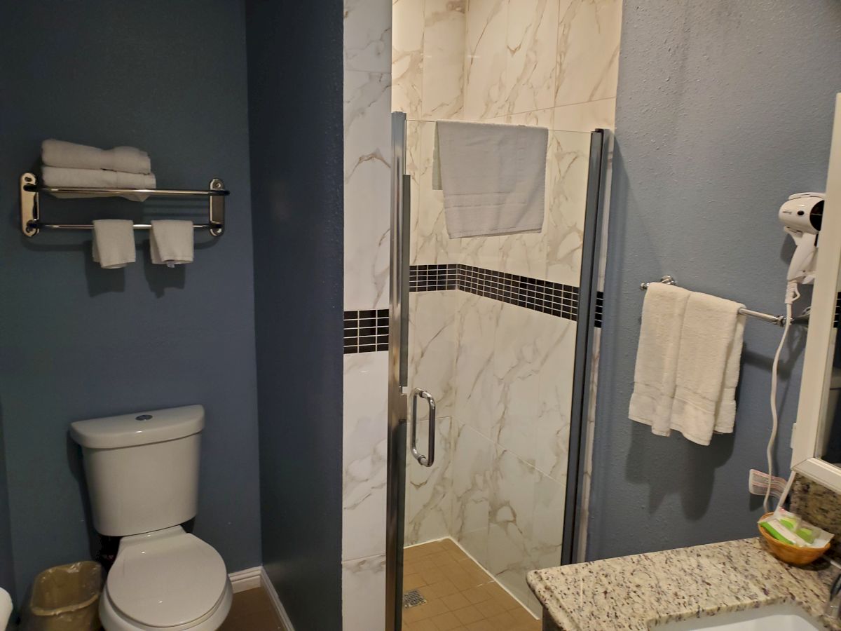 This image shows a bathroom with a toilet, a shower stall, towel racks with towels, a hairdryer on the wall, and a countertop with toiletries.